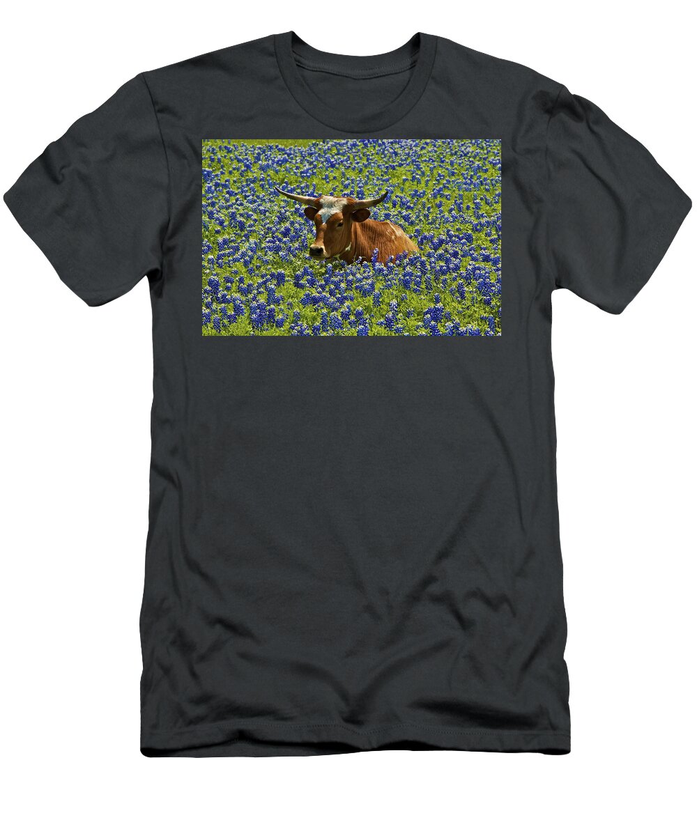 Texas T-Shirt featuring the photograph Texas Longhorn by John Babis