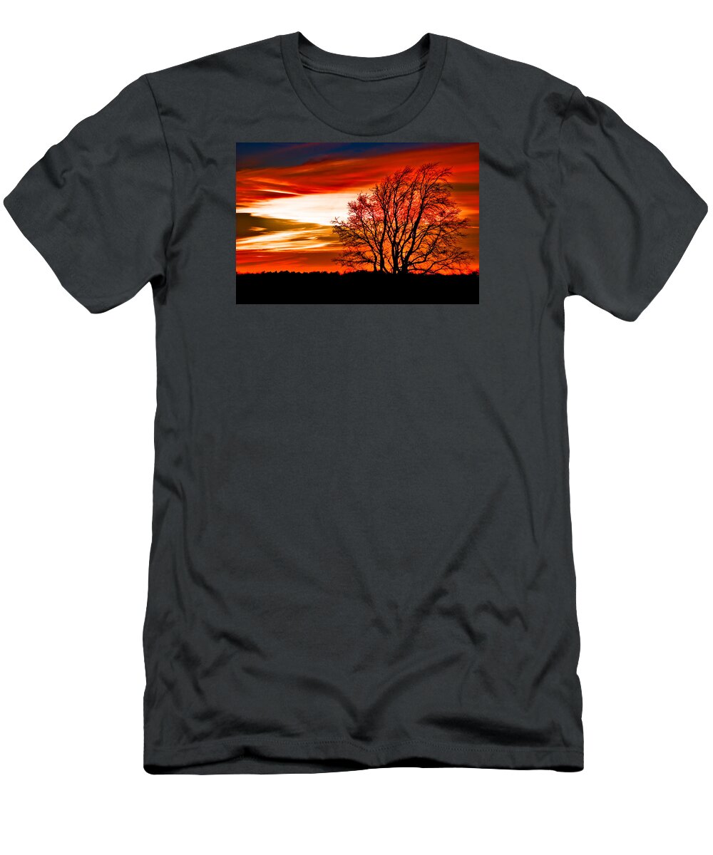 Art T-Shirt featuring the photograph Texas Sunset by Darryl Dalton