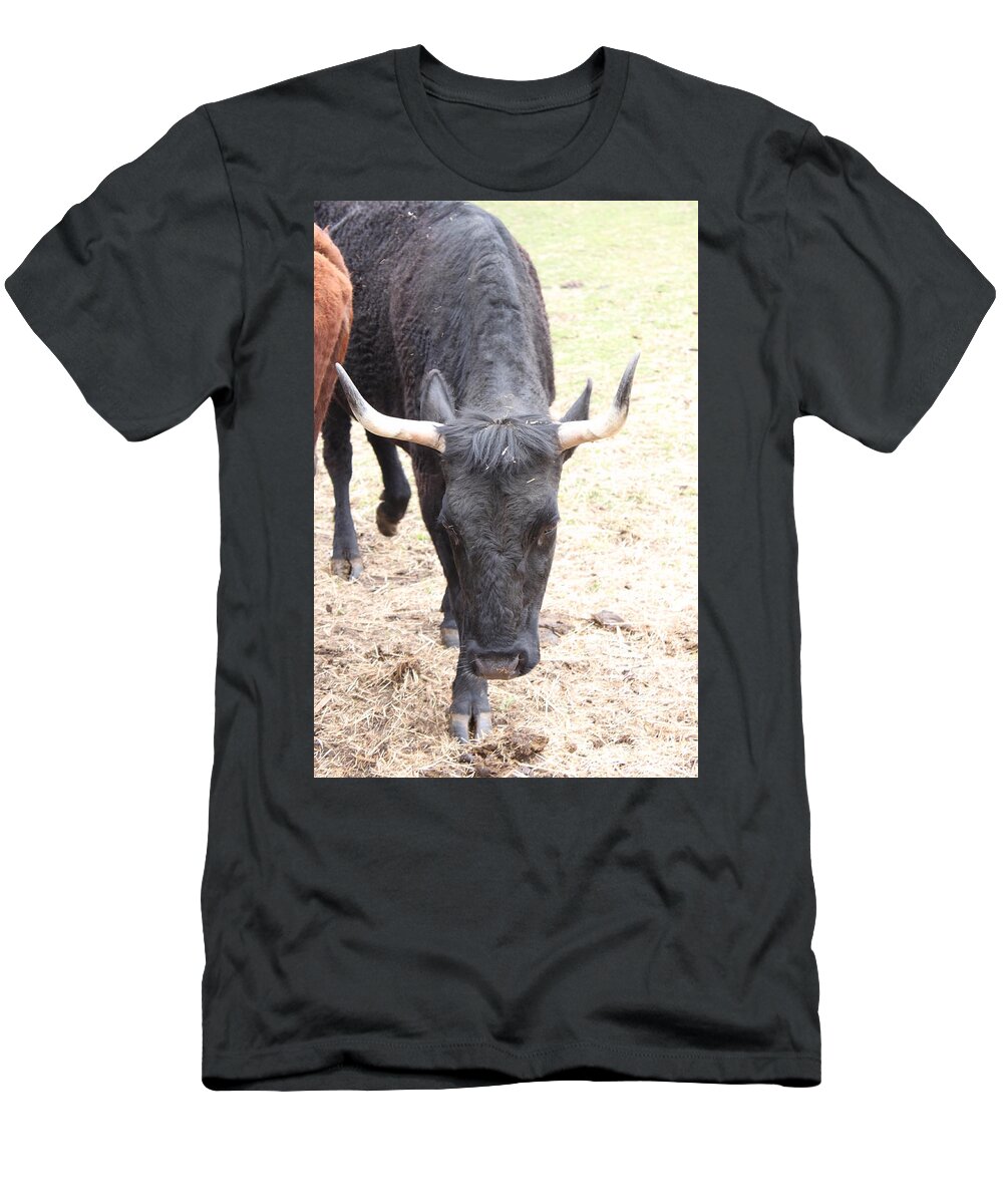 Cow T-Shirt featuring the photograph That ain't no bull by Jennifer E Doll