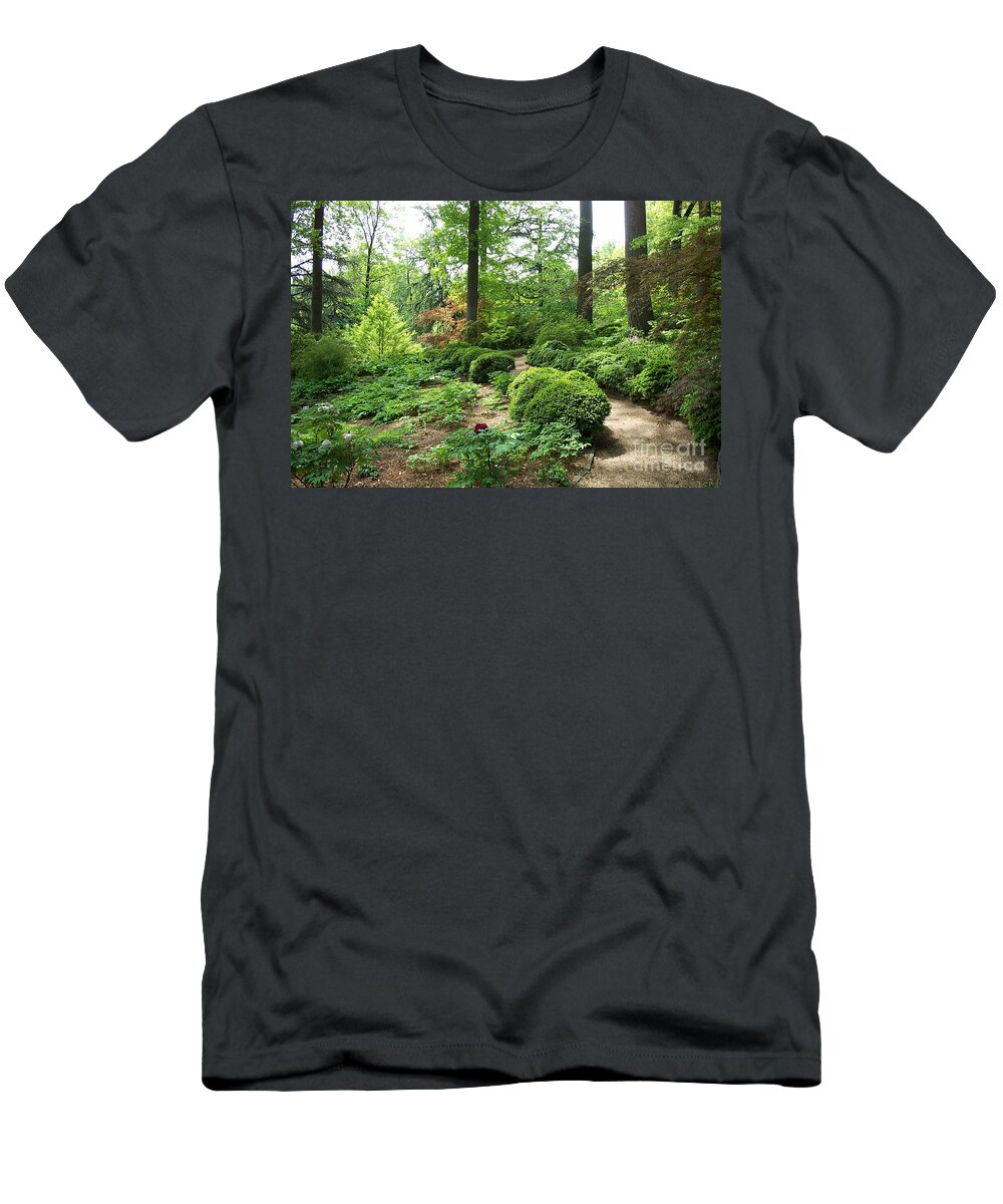 Paths T-Shirt featuring the photograph Asian Paths No. 15 by Walter Neal