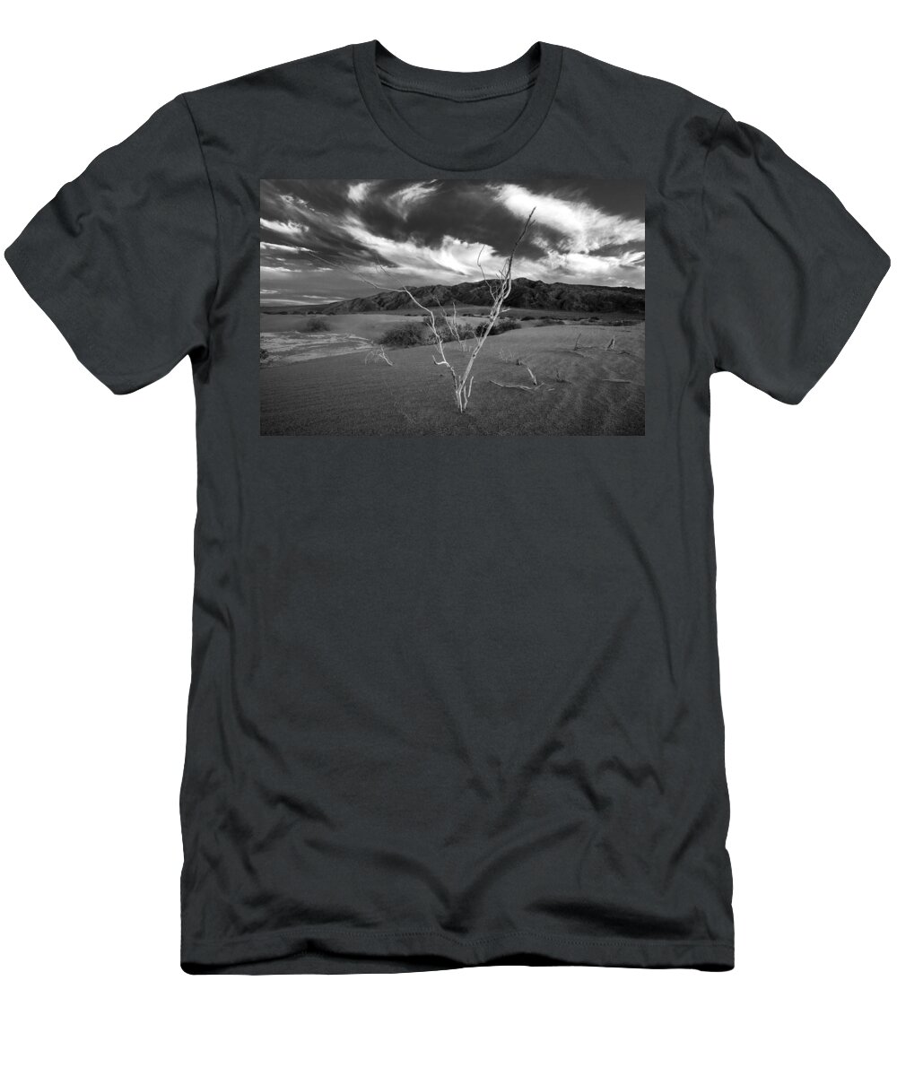 Tree T-Shirt featuring the photograph The Conductor by Peter Tellone