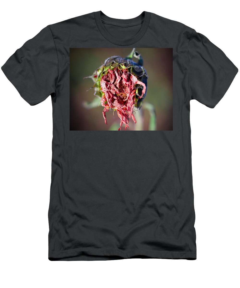 Autumn T-Shirt featuring the photograph the End by Jakub Sisak