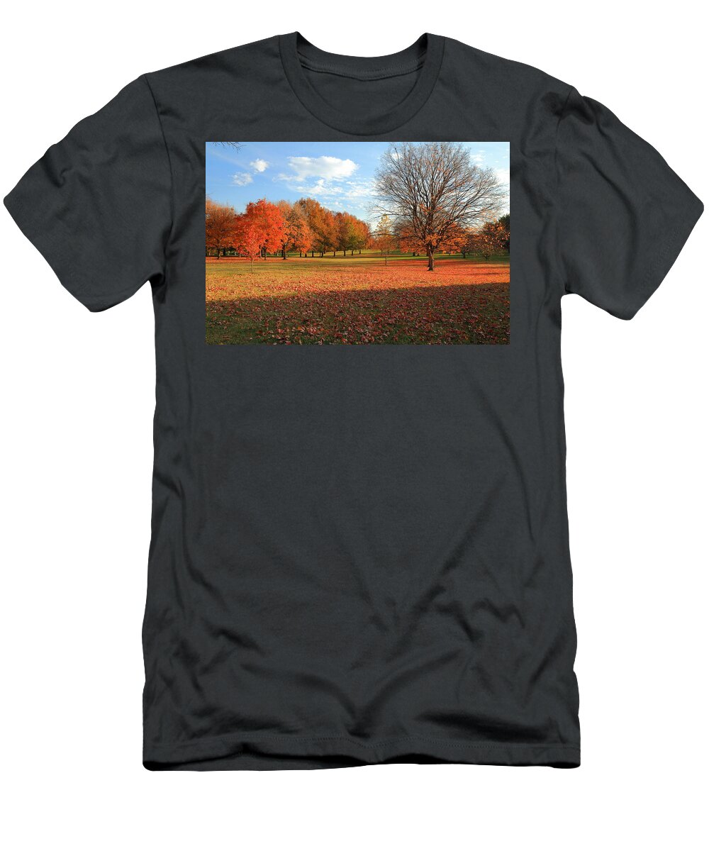 Trees T-Shirt featuring the photograph The End of Autumn in Francis Park by Scott Rackers
