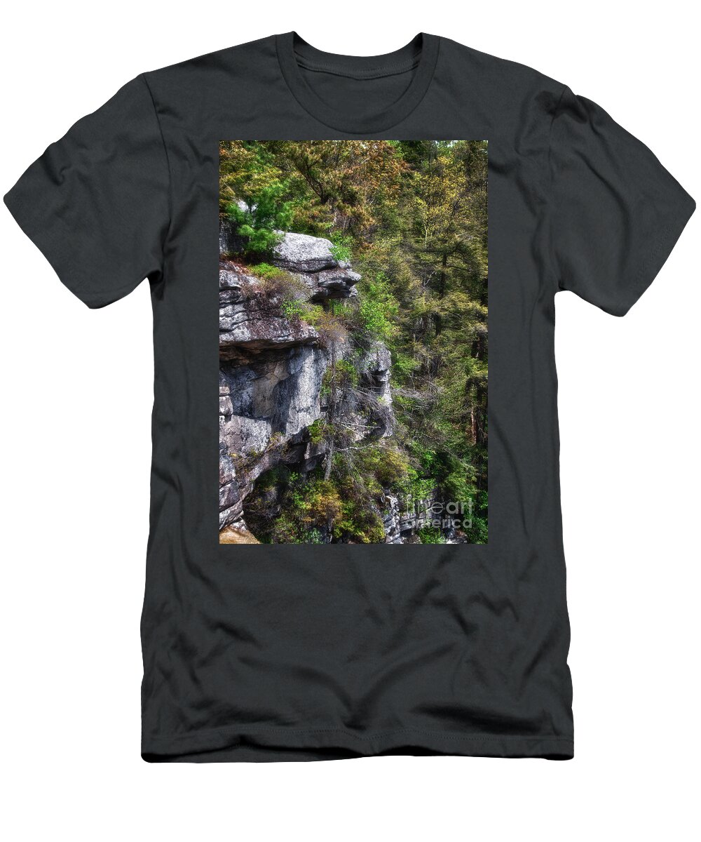 Awosting Falls T-Shirt featuring the photograph The face within the rock by Rick Kuperberg Sr