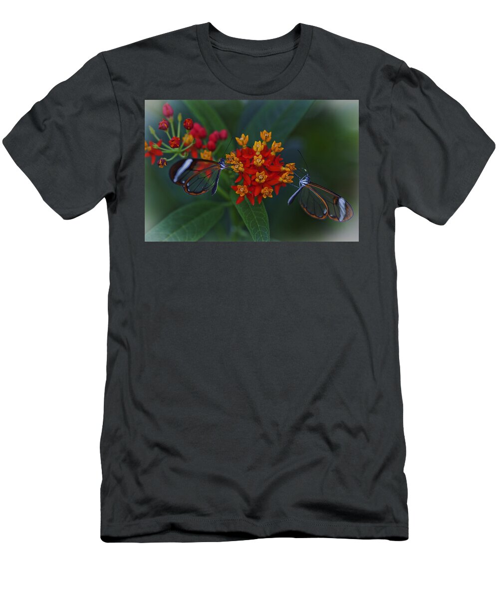 Butterfly T-Shirt featuring the photograph The Glasswinged Butterfly by Maj Seda