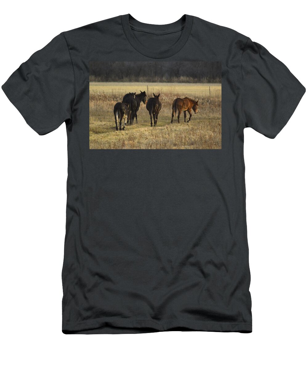 Jackass T-Shirt featuring the photograph The Jackasses by Bonfire Photography