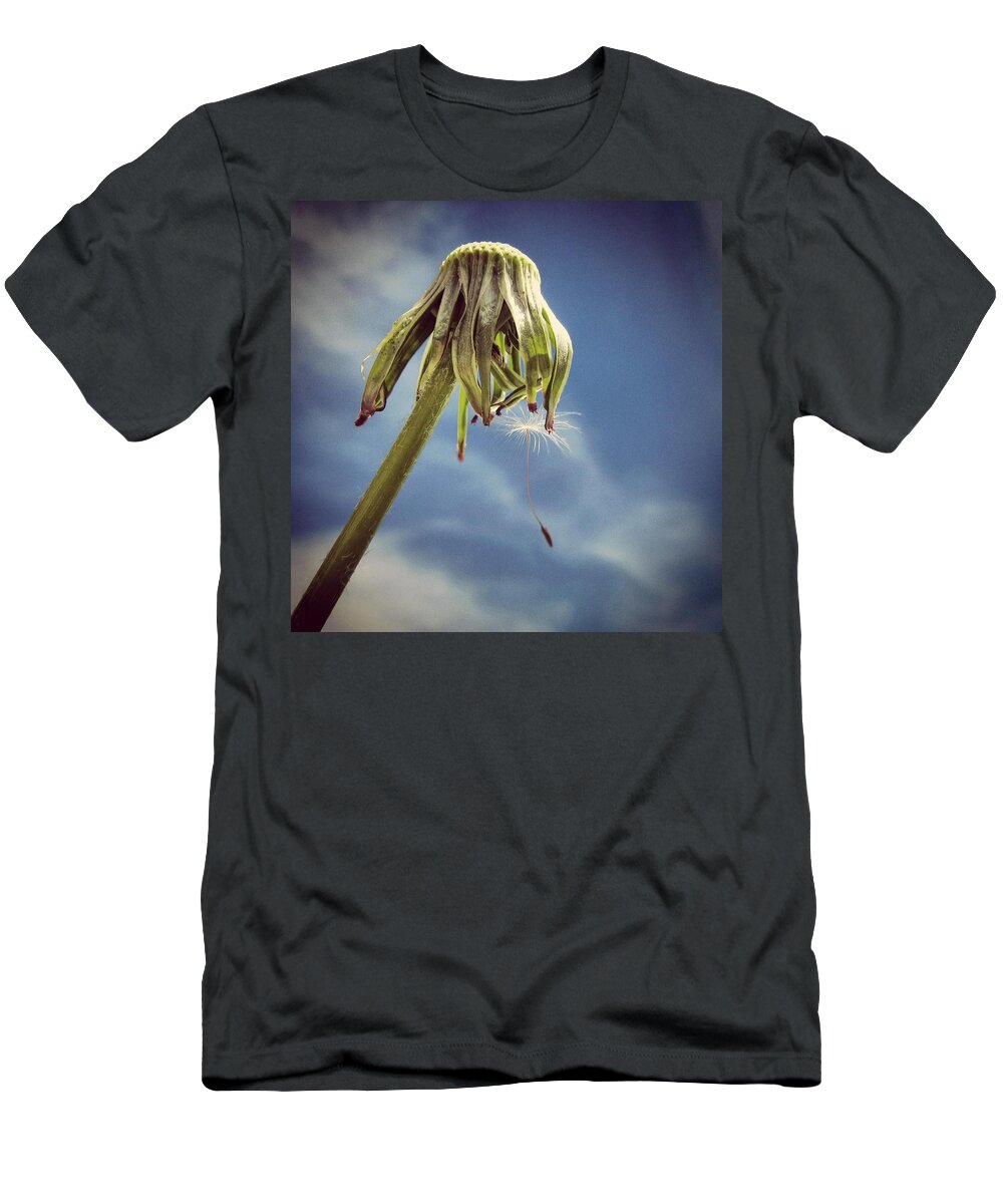 Dandelion T-Shirt featuring the photograph The Last Wish by Marianna Mills