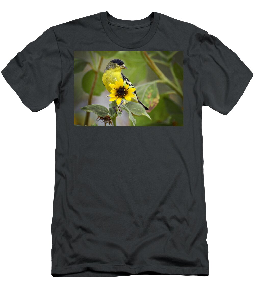 Lesser Gold Finch T-Shirt featuring the photograph The Lesser Goldfinch by Saija Lehtonen