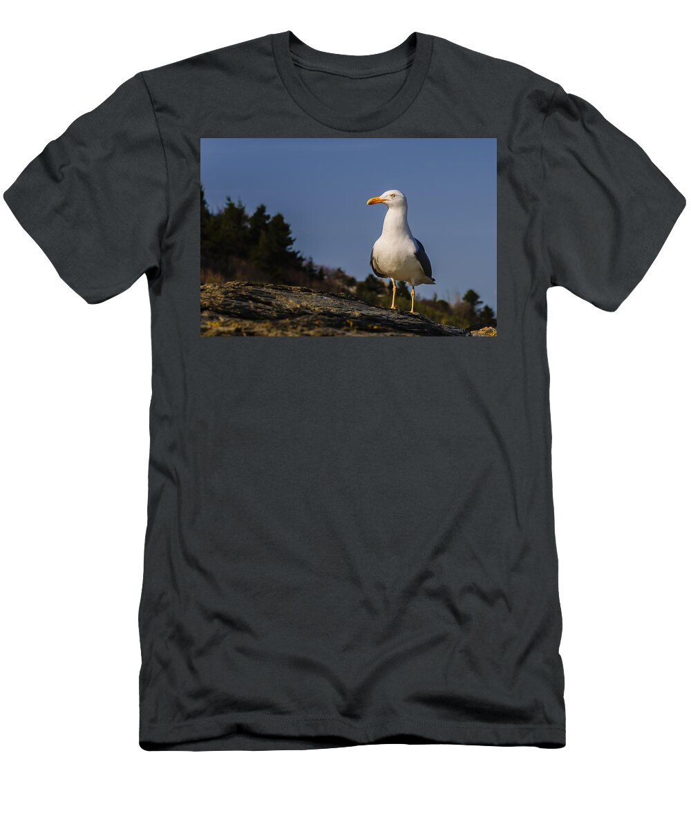 2010 T-Shirt featuring the photograph The Observer by Mark Myhaver