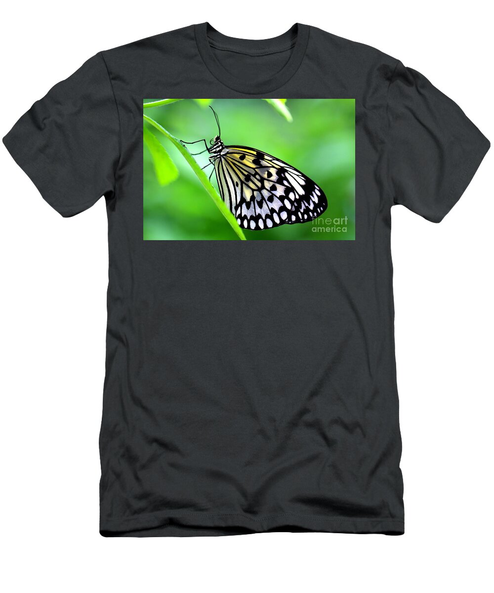 Butterfly T-Shirt featuring the photograph The Paper Kite or Rice Paper or Large Tree Nymph butterfly also known as Idea leuconoe by Amanda Mohler