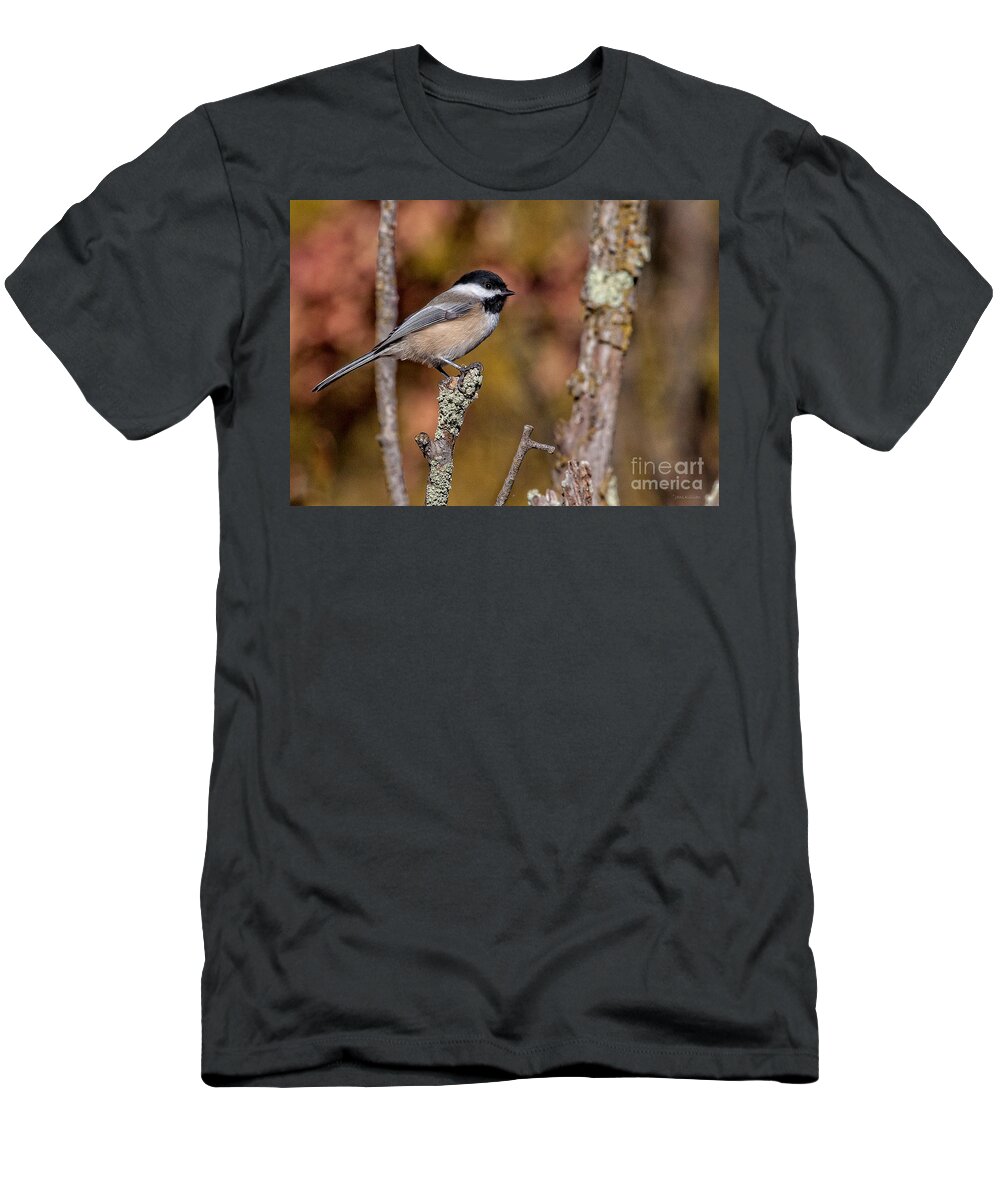 Chickadee T-Shirt featuring the photograph The Perch by Jan Killian