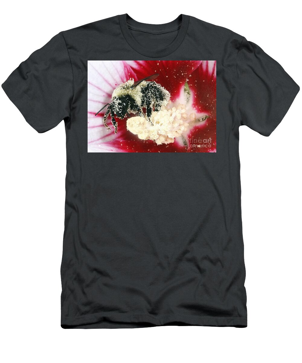 Bees T-Shirt featuring the photograph The Pollinator by Geoff Crego