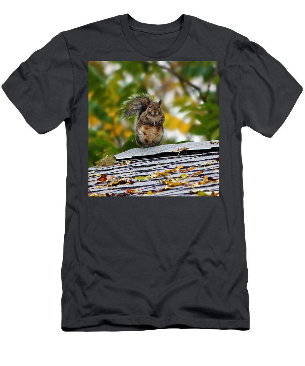 Squirrel T-Shirt featuring the photograph The Poser by Jeanette C Landstrom