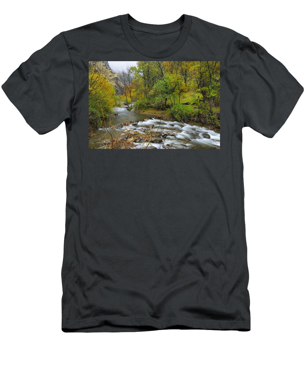 River T-Shirt featuring the photograph The river by Guido Montanes Castillo