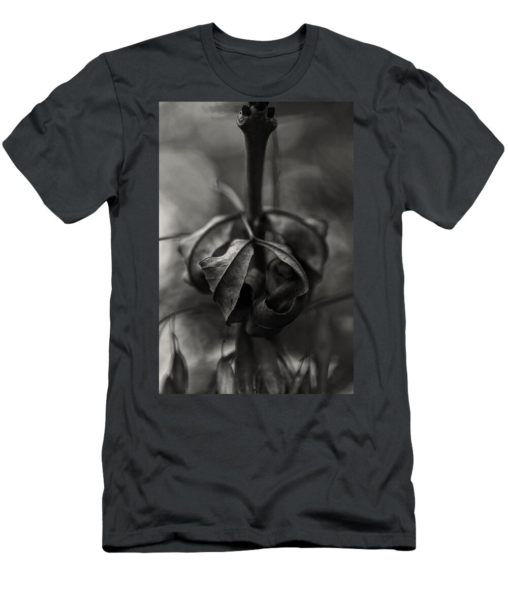 Nature T-Shirt featuring the photograph The Rolled Leaf by Andreas Levi