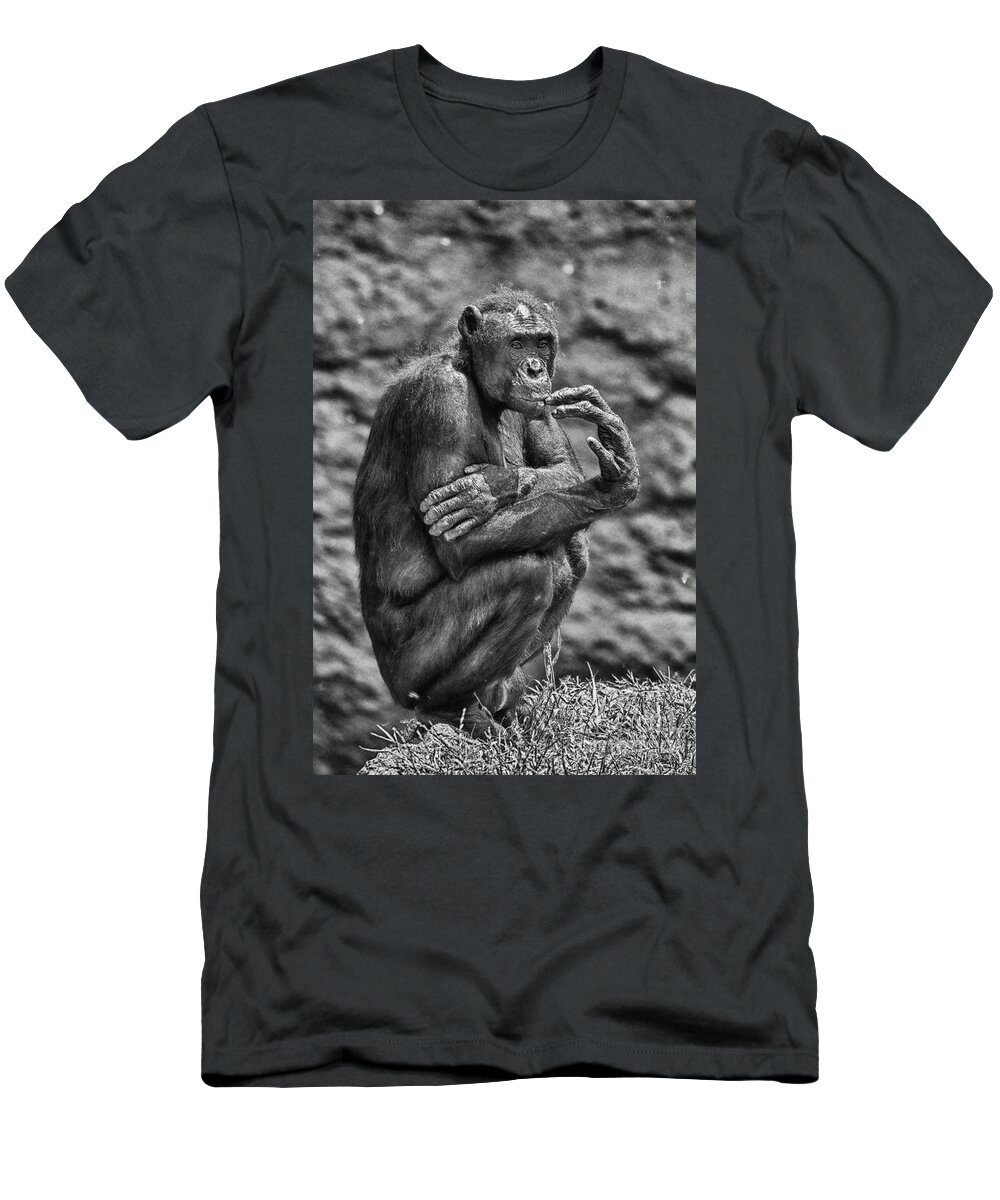 Pensive T-Shirt featuring the photograph The Thinker by Douglas Barnard