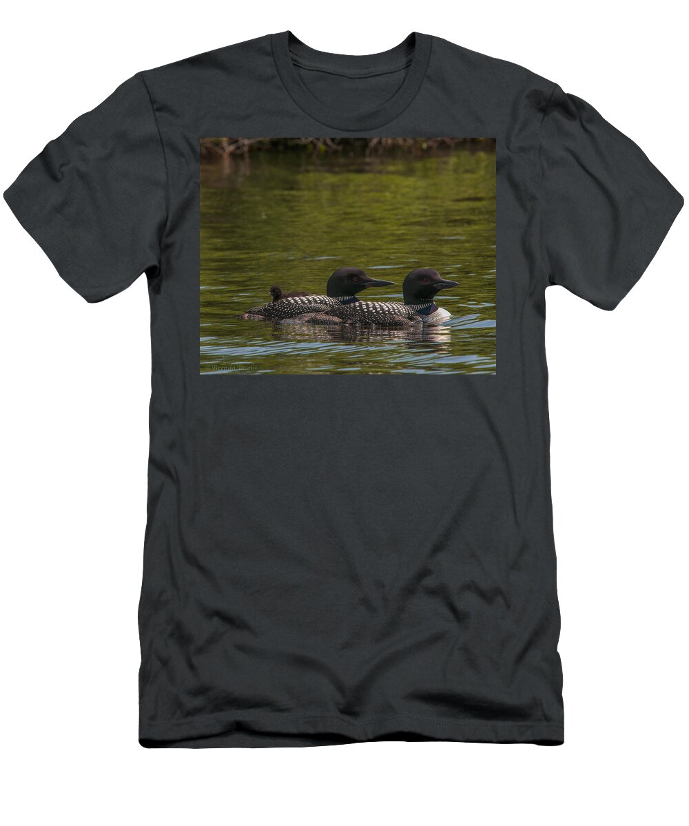 Common Loon T-Shirt featuring the photograph The Three of Us by Brenda Jacobs