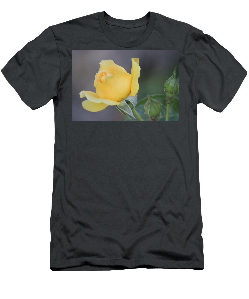 Yellow Rose T-Shirt featuring the photograph The Unfolding by Leigh Meredith