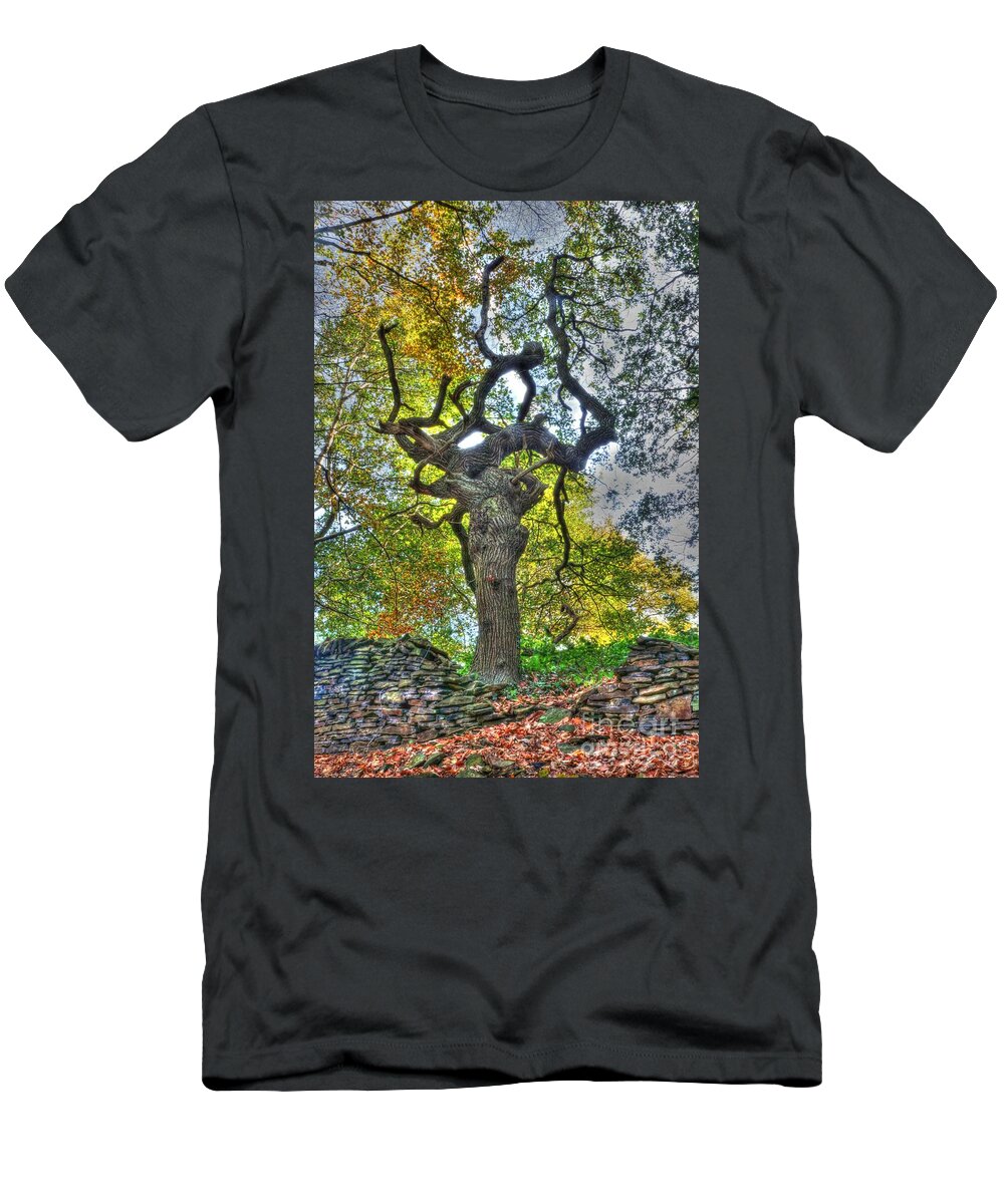 Tree T-Shirt featuring the photograph The Witches Tree by David Birchall