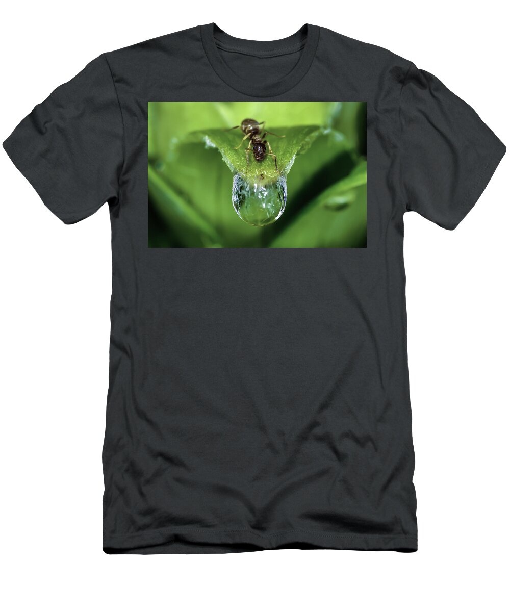 Ant T-Shirt featuring the photograph Thirst by Rick Bartrand