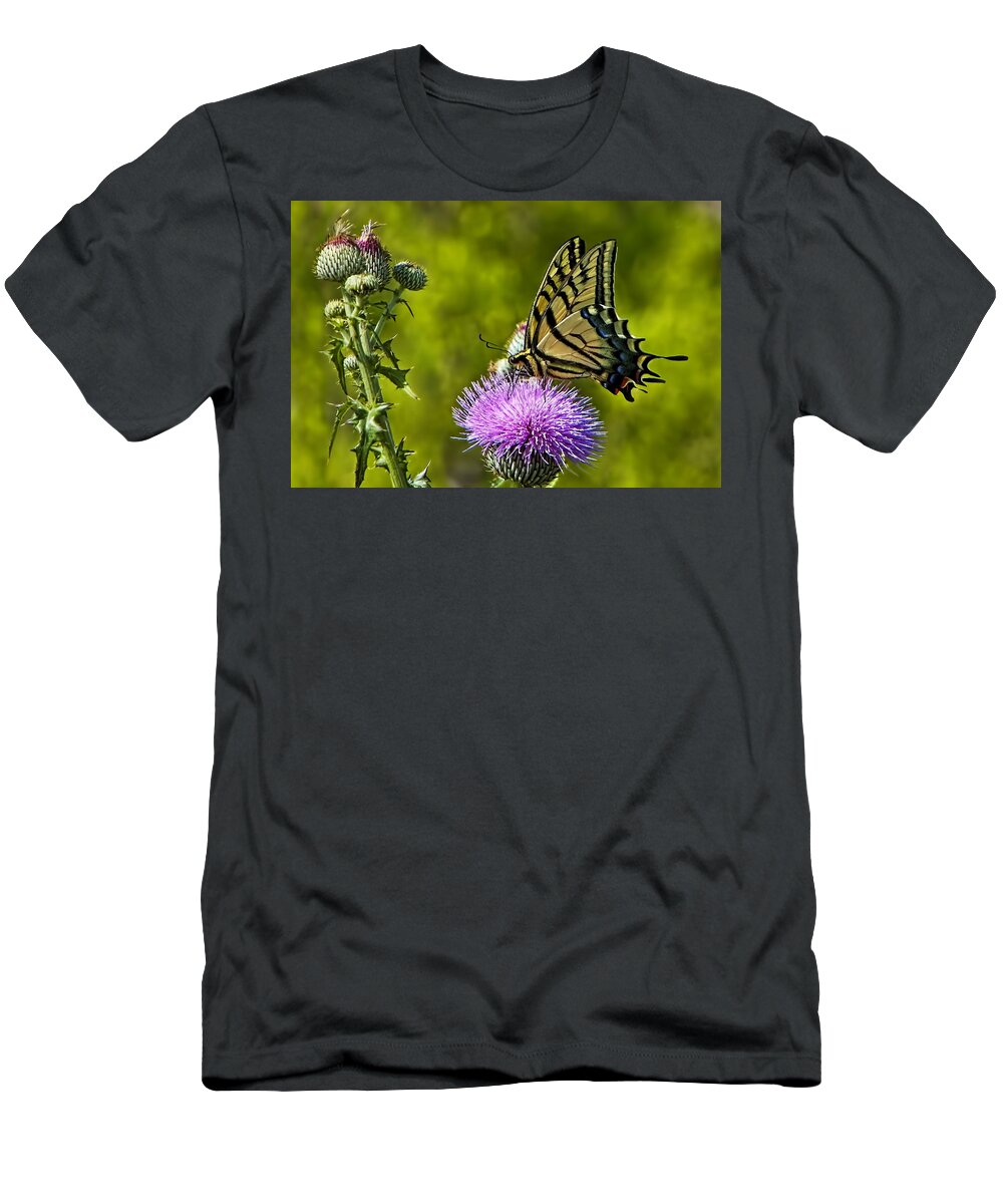 A Tiger Swallowtail (papilio Glaucus) Was Actively Feeding On A Purple Thistle Blossom During Peak Wildflower Season T-Shirt featuring the photograph Thistle Do Just Fine by Gary Holmes