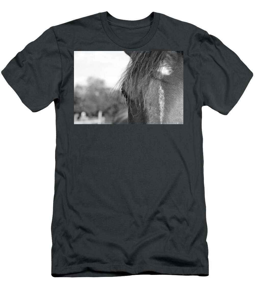 Thoroughbred T-Shirt featuring the photograph Thoroughbred b/w by Jennifer Ancker