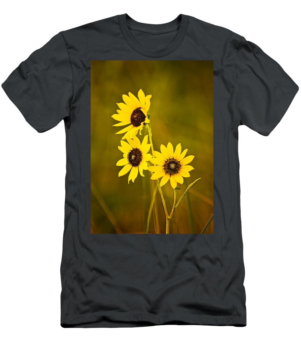 Black Eyed Susan T-Shirt featuring the photograph A Trio Of Black Eyed Susans by Gary Slawsky