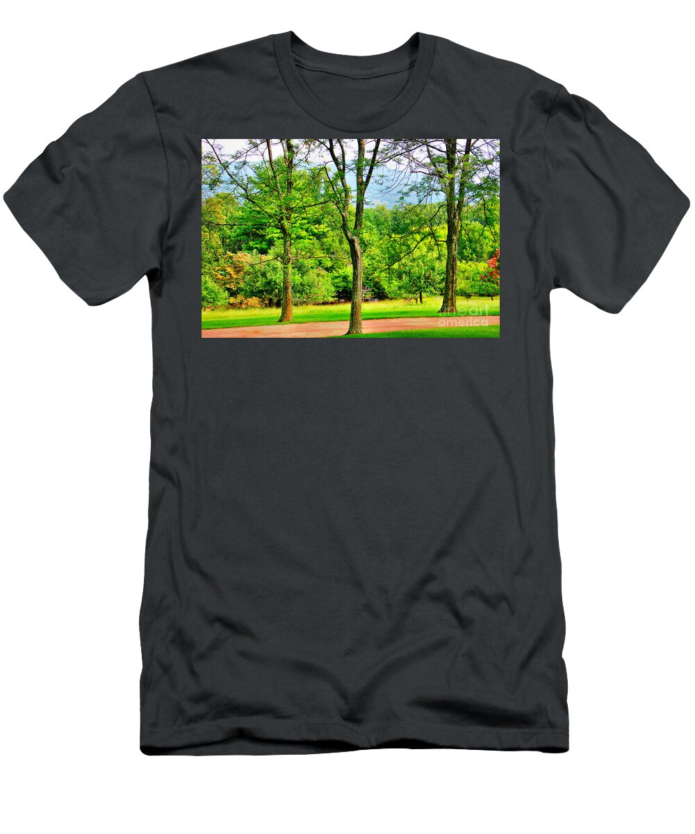 Trees T-Shirt featuring the photograph Three Of A Kind by Judy Palkimas
