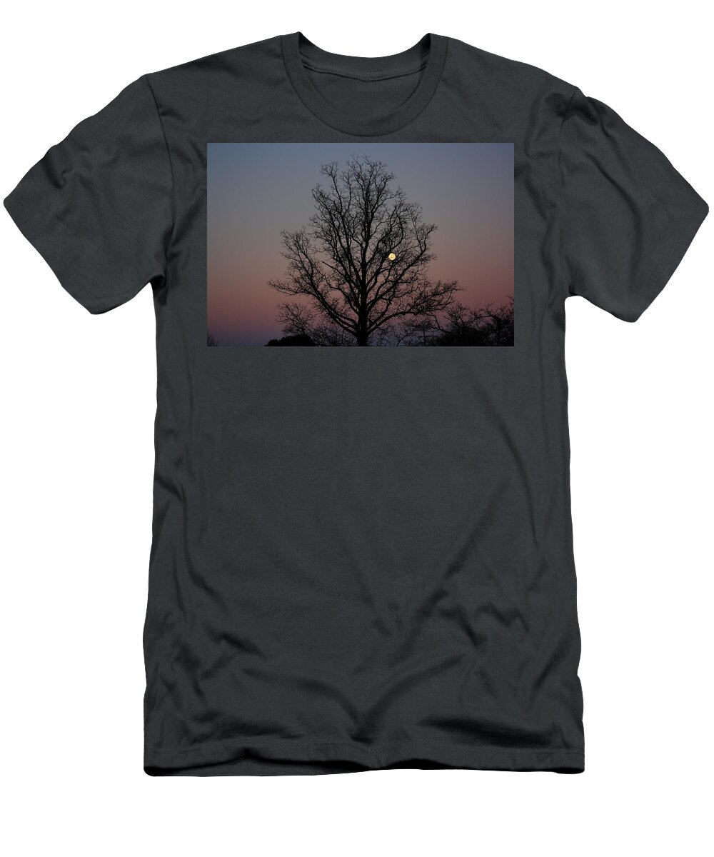 Sunset T-Shirt featuring the photograph Through the Boughs landscape by Dan Stone