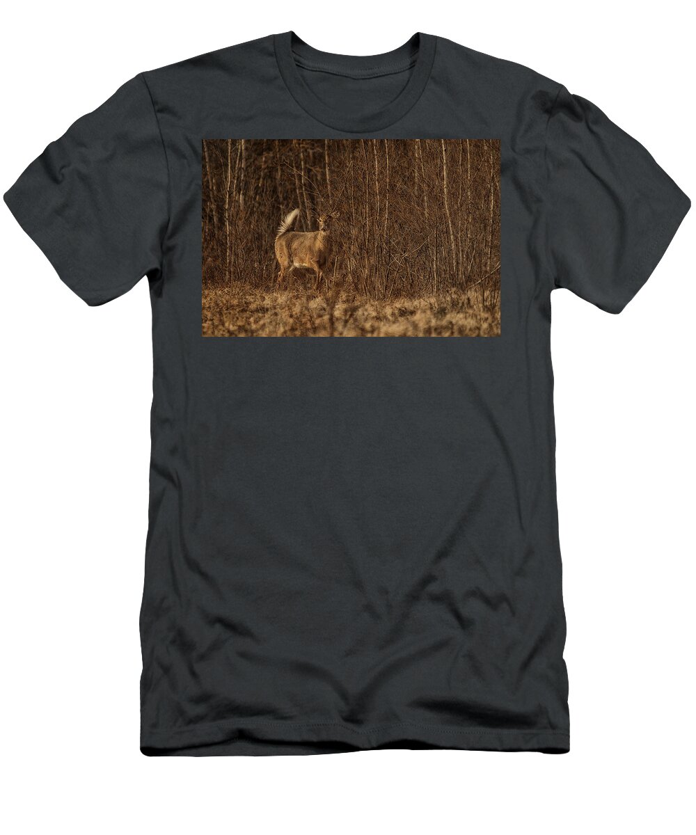 Deer T-Shirt featuring the photograph Through the Brush by Sue Capuano