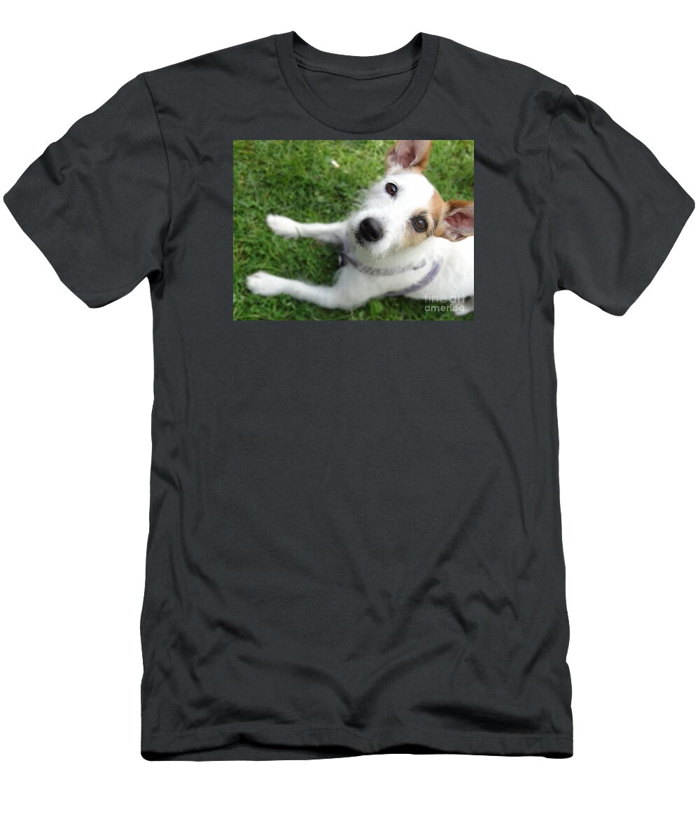 Jack Russell T-Shirt featuring the photograph Throw it again by Laurel Best