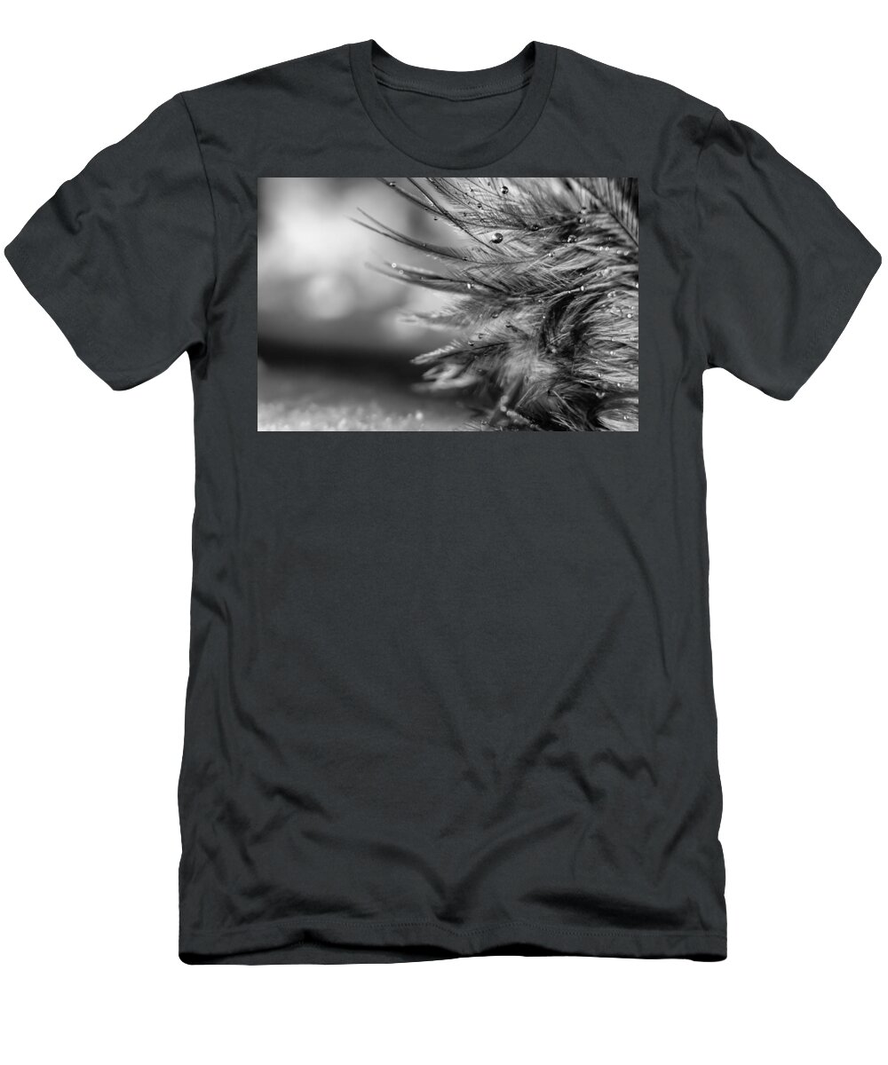 Feather T-Shirt featuring the photograph Tickle My Fancy by Lauri Novak