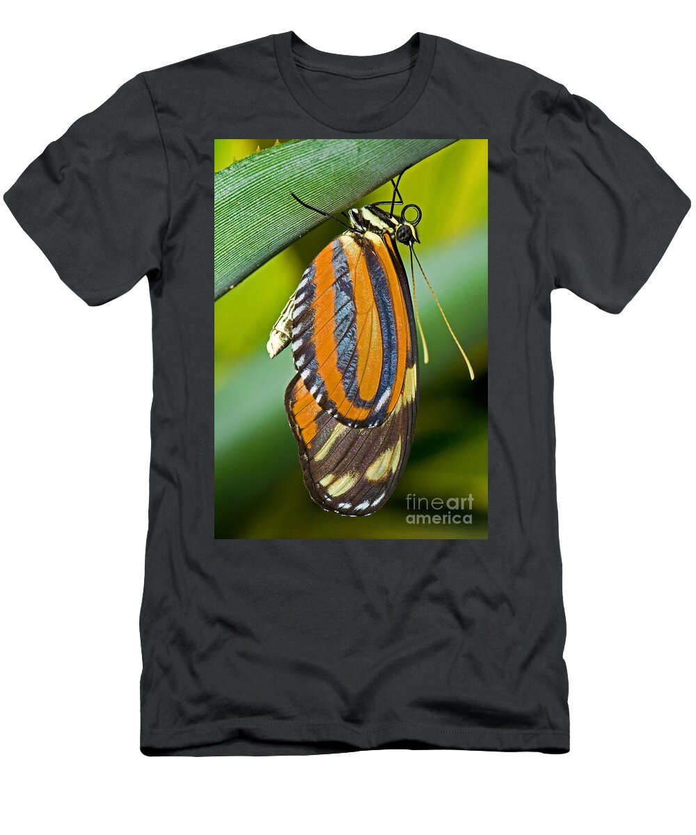 Tiger Mimic-queen Butterfly T-Shirt featuring the photograph Tiger Mimic Queen Butterfly by Millard H. Sharp