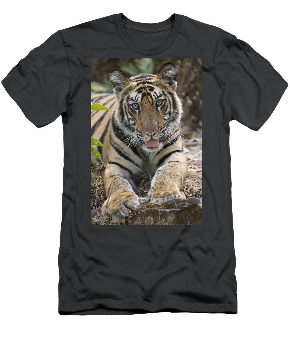 Flpa T-Shirt featuring the photograph Tiger Young Male Bandhavgarh India by Elliott Neep
