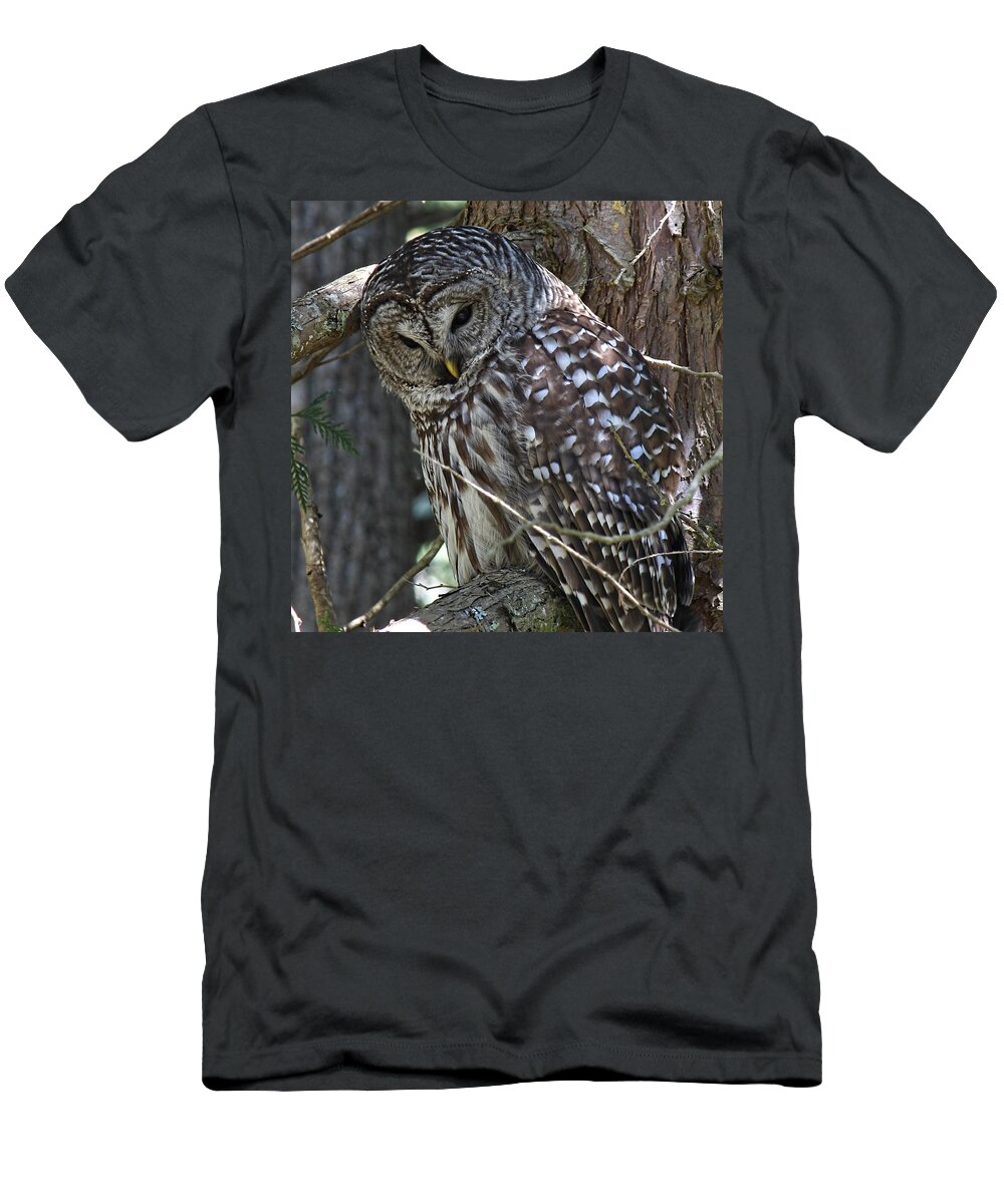 Owl T-Shirt featuring the photograph Time To Go To Sleep Now by Randy Hall