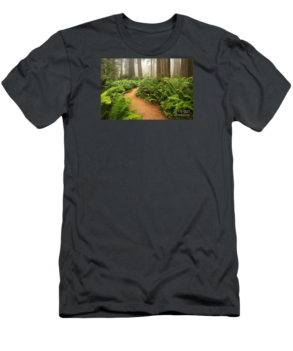 California T-Shirt featuring the photograph Timeless by Alice Cahill