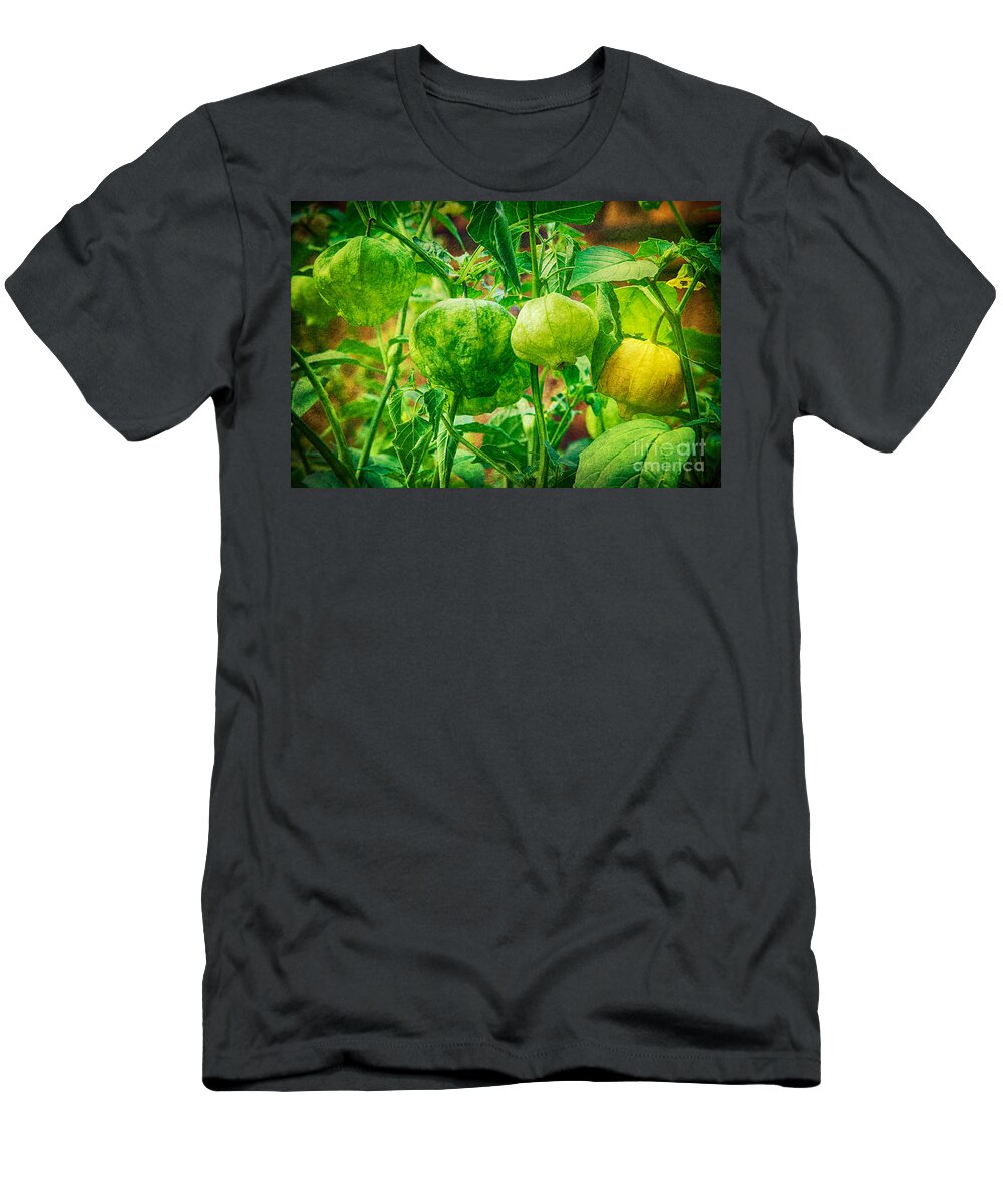 Tomatillo T-Shirt featuring the photograph Tomatillos by James BO Insogna