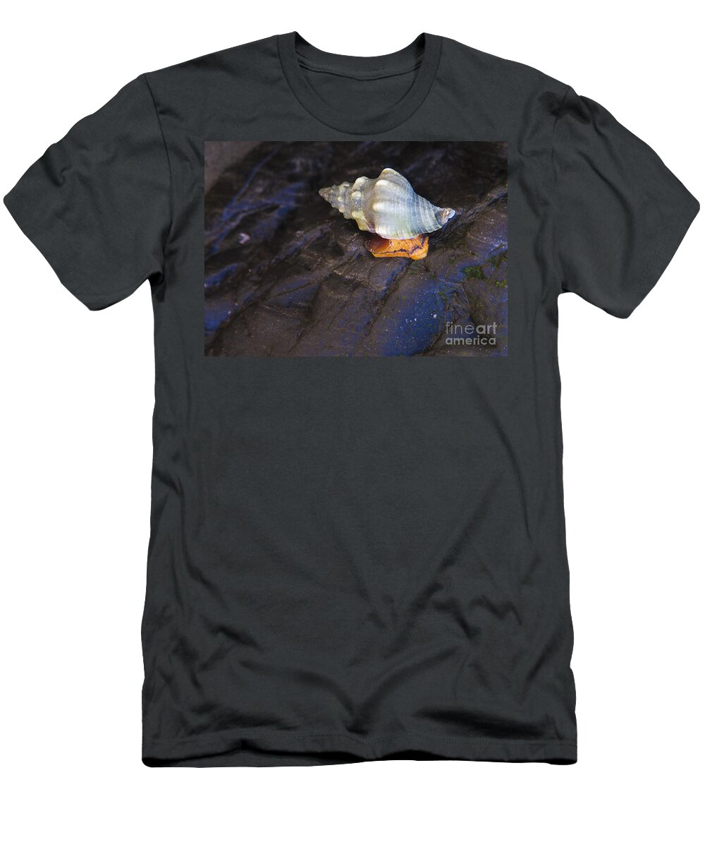 Traveling At A Snails Pace T-Shirt featuring the photograph Traveling at a snail's pace by David Millenheft