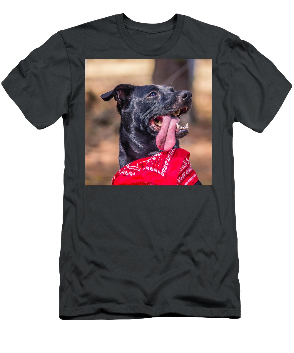 Dog T-Shirt featuring the photograph Treat Please by Rob Sellers