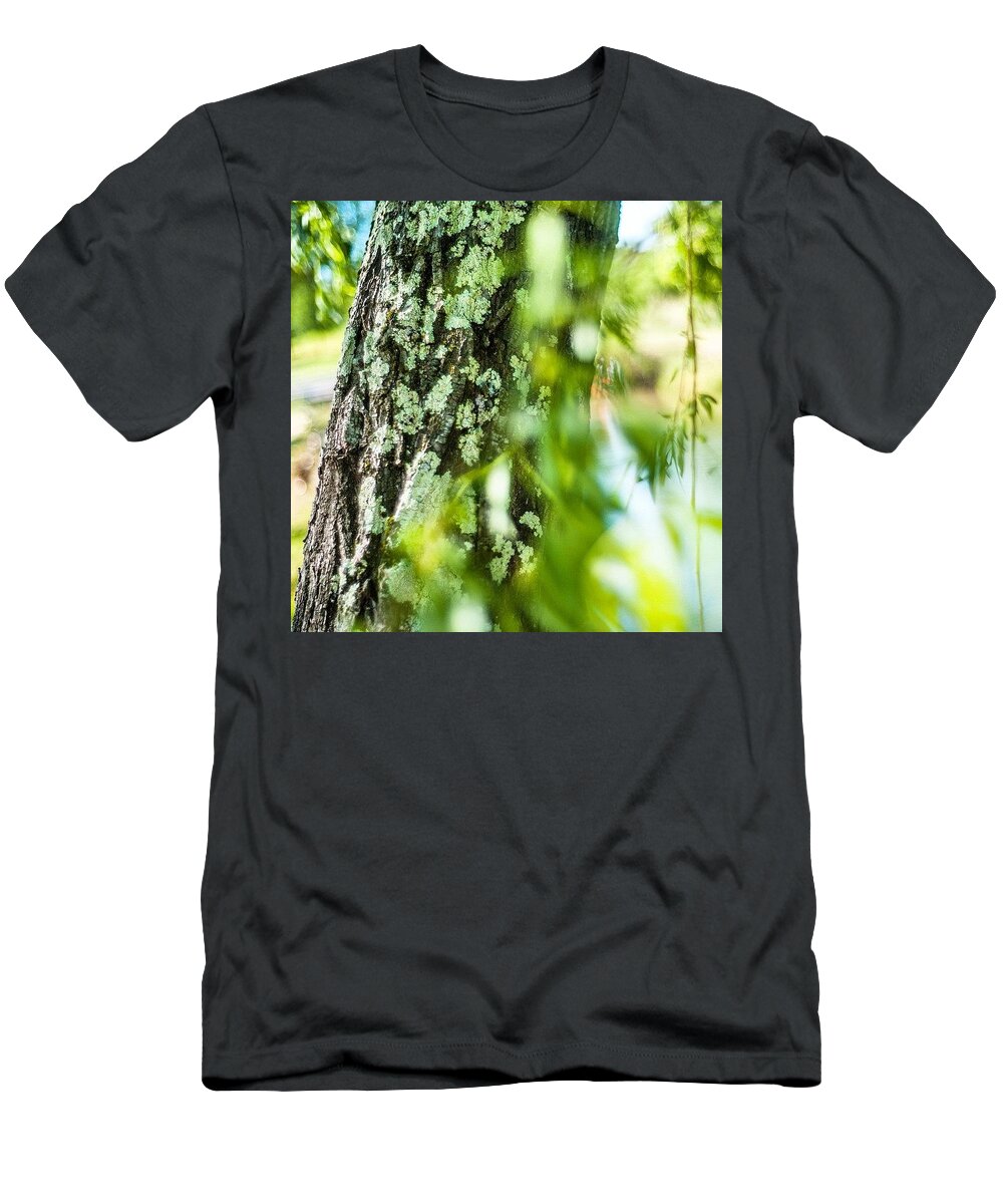 Life T-Shirt featuring the photograph Tree Beauty by Aleck Cartwright