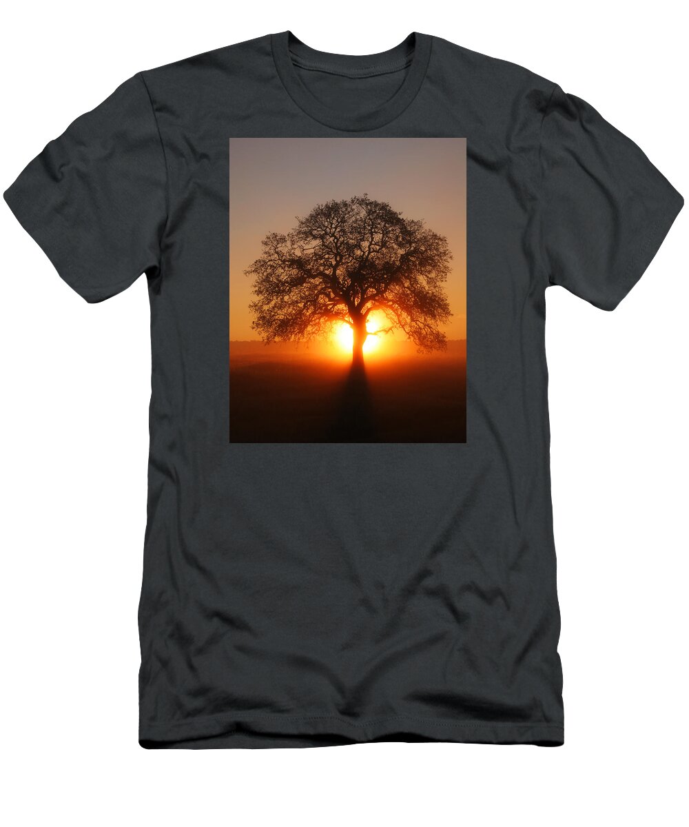 Tree T-Shirt featuring the photograph Tree Fog Sunrise by Robert Woodward