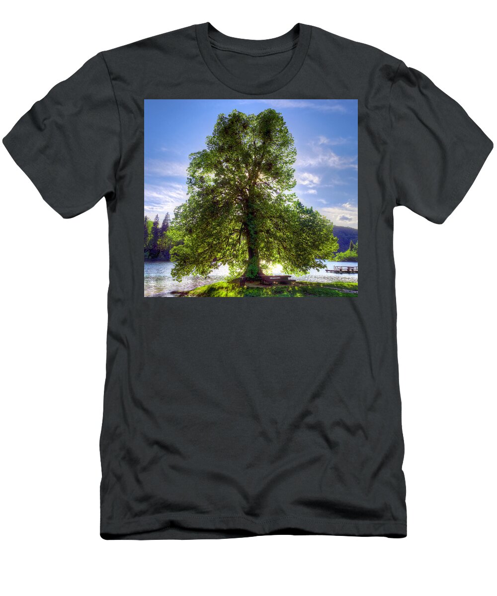 Autumn T-Shirt featuring the photograph Tree by Ivan Slosar
