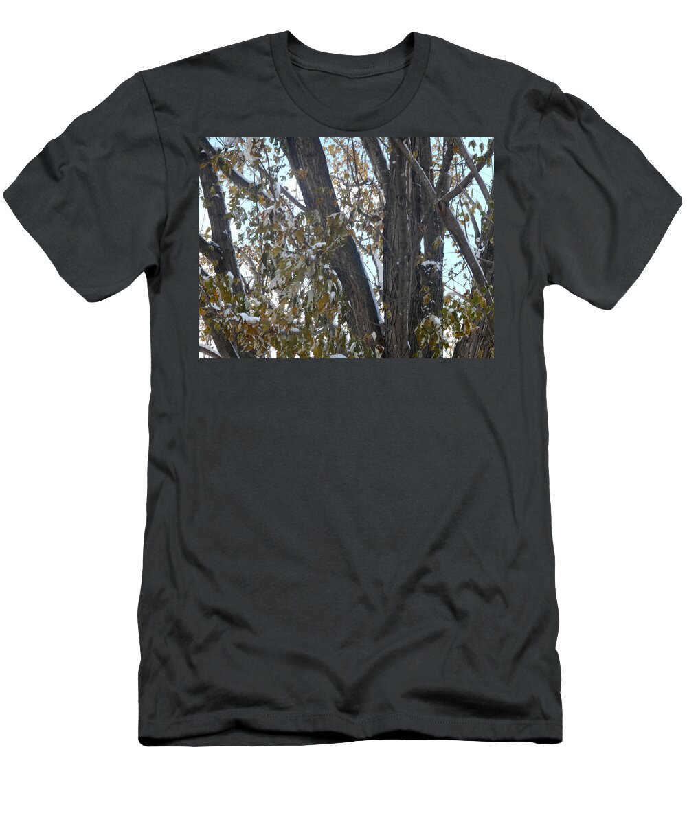 Tree T-Shirt featuring the photograph Tree Leaves with Snow by Shea Holliman