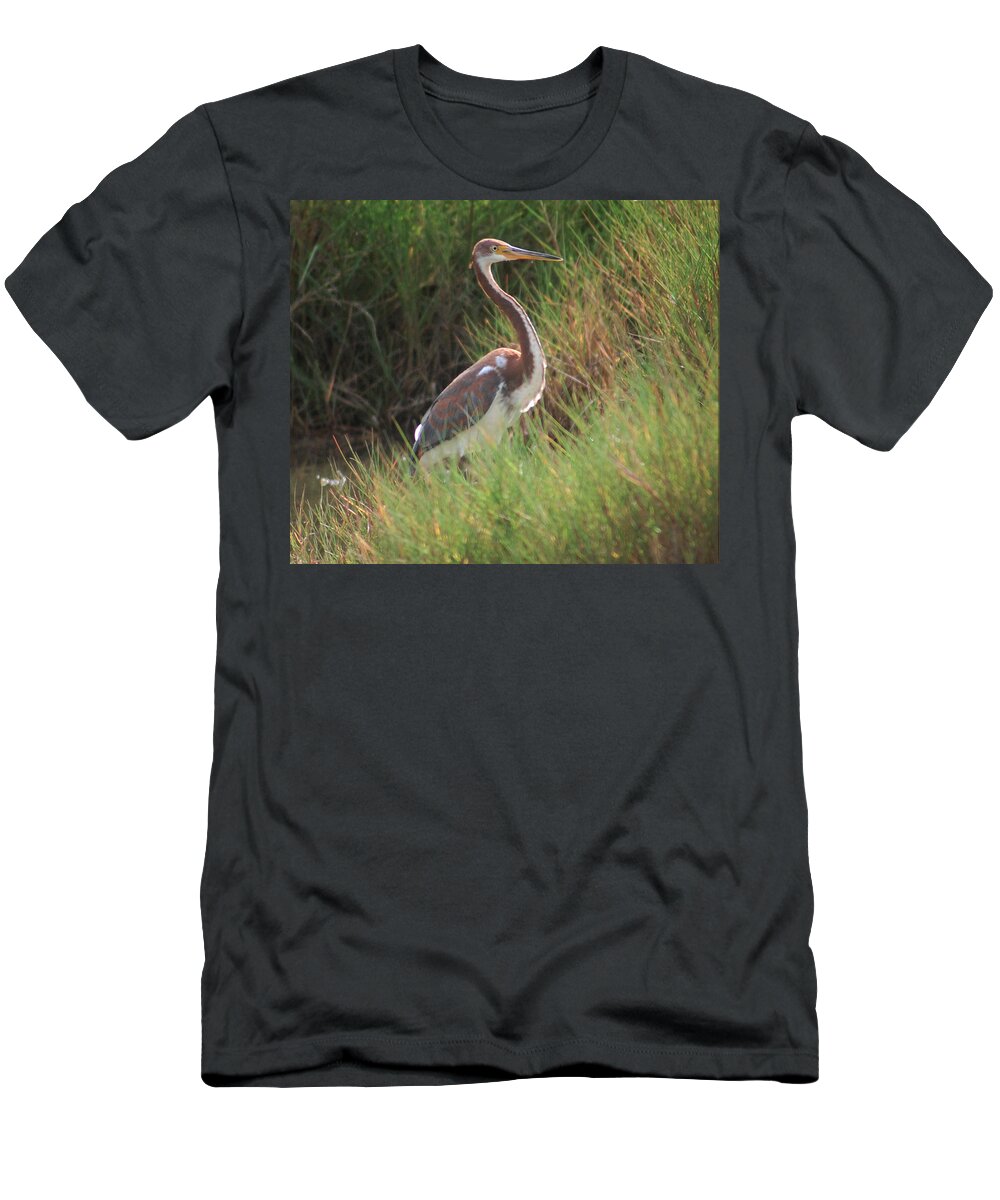 Tri-color Heron T-Shirt featuring the photograph Tri-Color Heron by Leticia Latocki