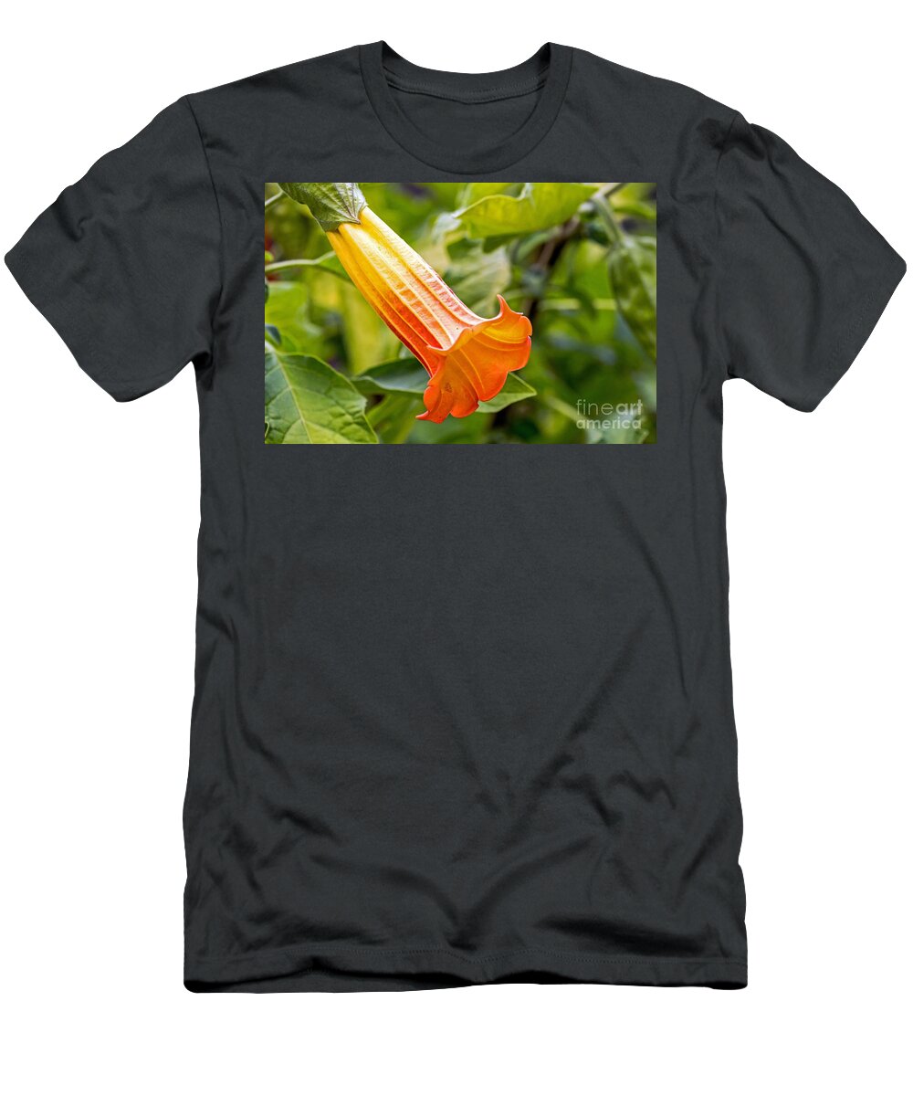 Botanical Garden T-Shirt featuring the photograph Trumpet Flower by Kate Brown