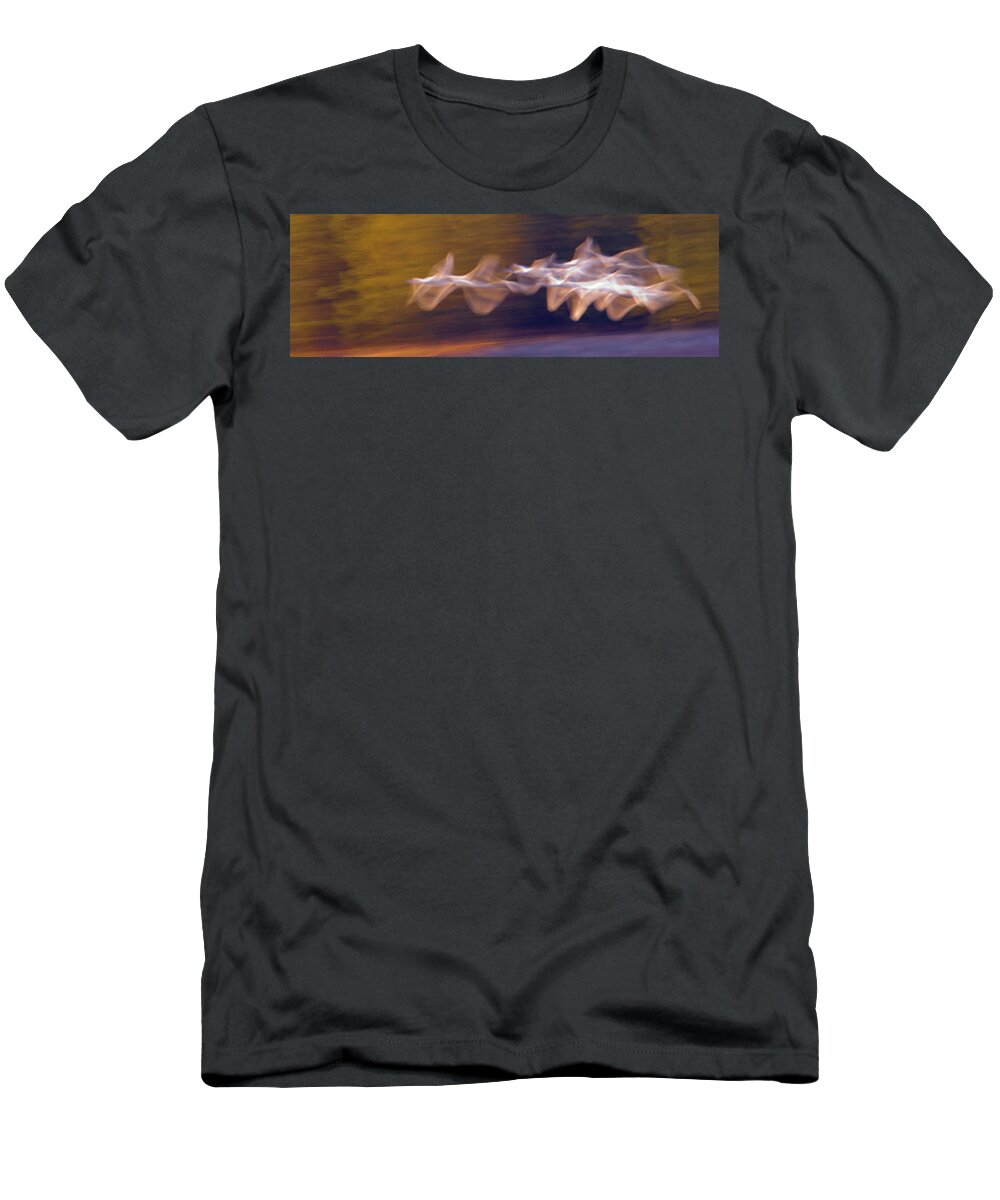 Photography T-Shirt featuring the photograph Trumpeter Swans Cygnus Buccinator by Panoramic Images