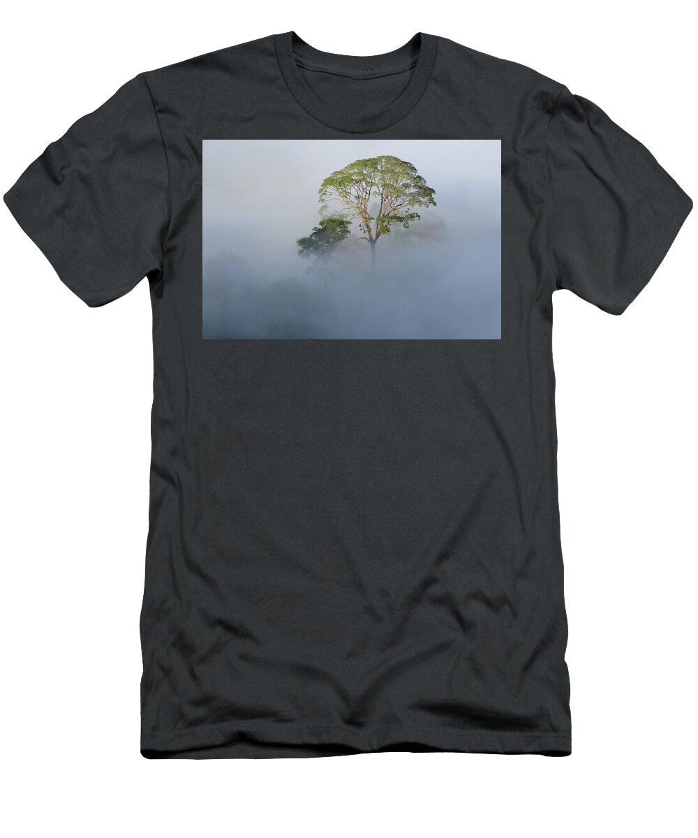 Ch'ien Lee T-Shirt featuring the photograph Tualang Tree Above Rainforest Mist by Ch'ien Lee