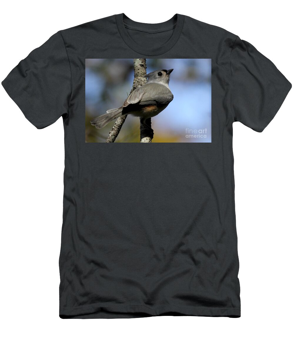 Tufted Titmouse T-Shirt featuring the photograph Tufted Titmouse by Meg Rousher