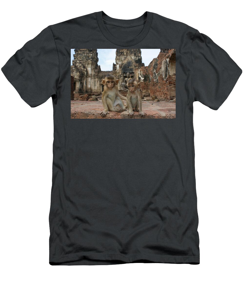 Young Animal T-Shirt featuring the photograph Two baby Macaques by Brian Kamprath