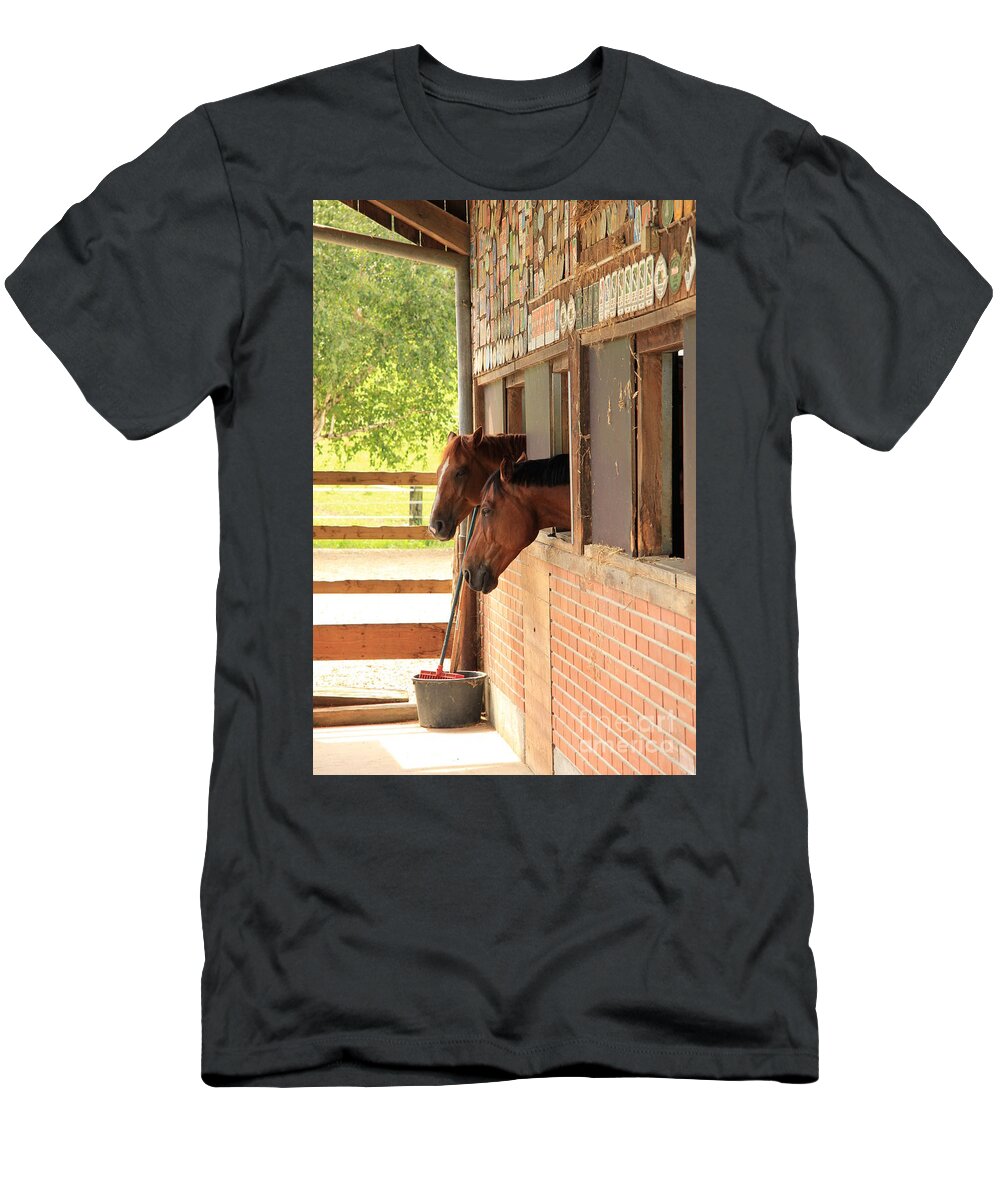 Animal T-Shirt featuring the photograph Two horses looking out of a stable by Amanda Mohler